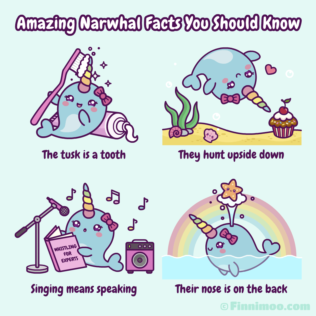 Amazing Narwhal Facts - Cute Unicorn Whale Comic
